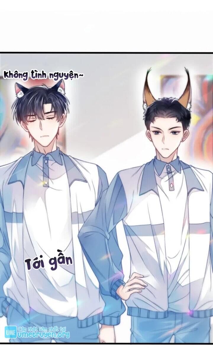 Tiểu Dã Miêu Của Học Bá Thật Trêu Người Chapter 1 - Next Chapter 2