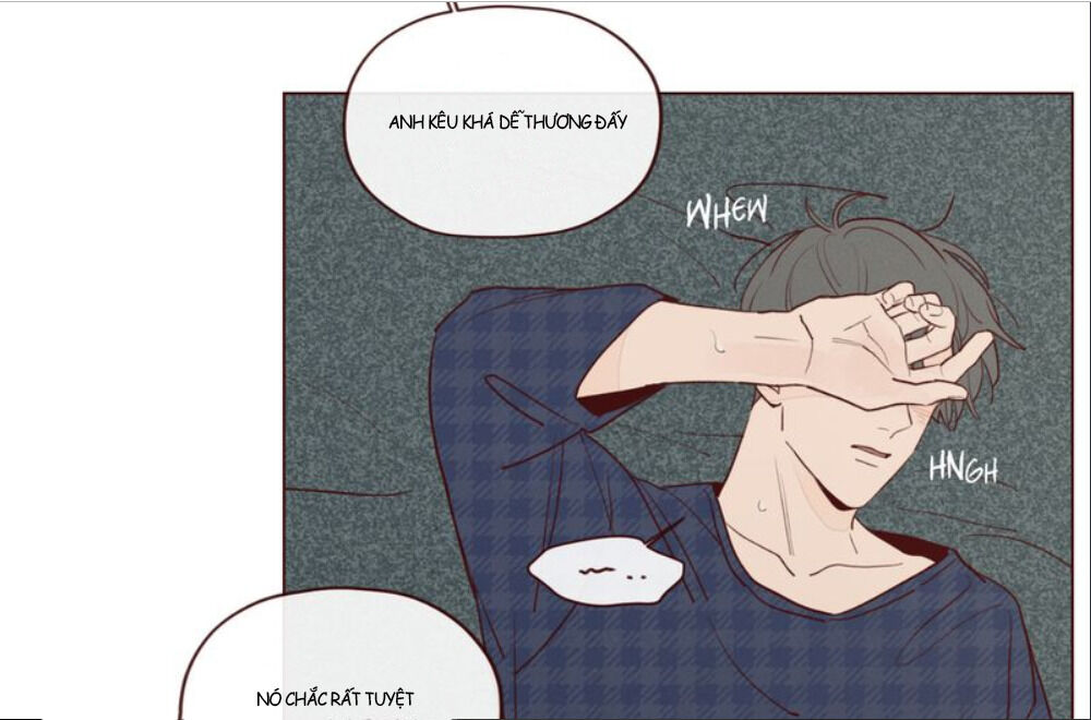 Vận Mệnh Không Mắc Sai Lầm Chapter 17 - Next Chapter 18