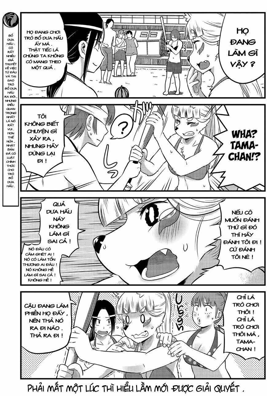 High school Inari Tamamo-chan ! Chapter 15 - Trang 2