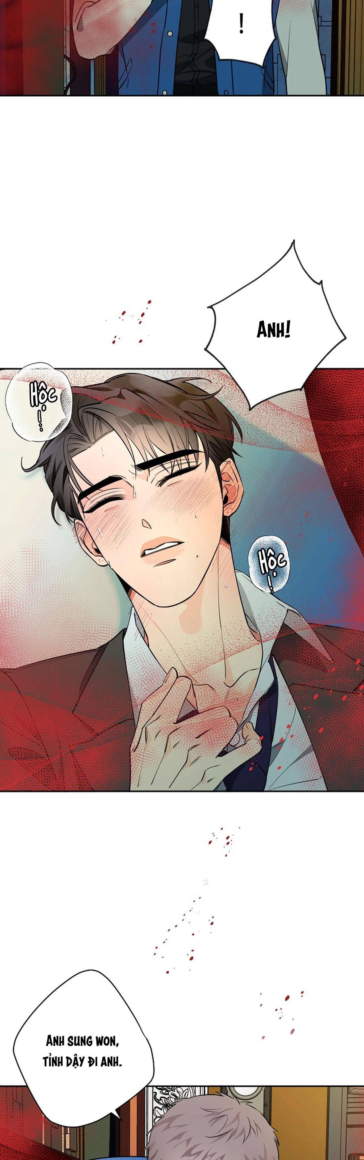 đêm dịu dàng Chapter 37 - Trang 1