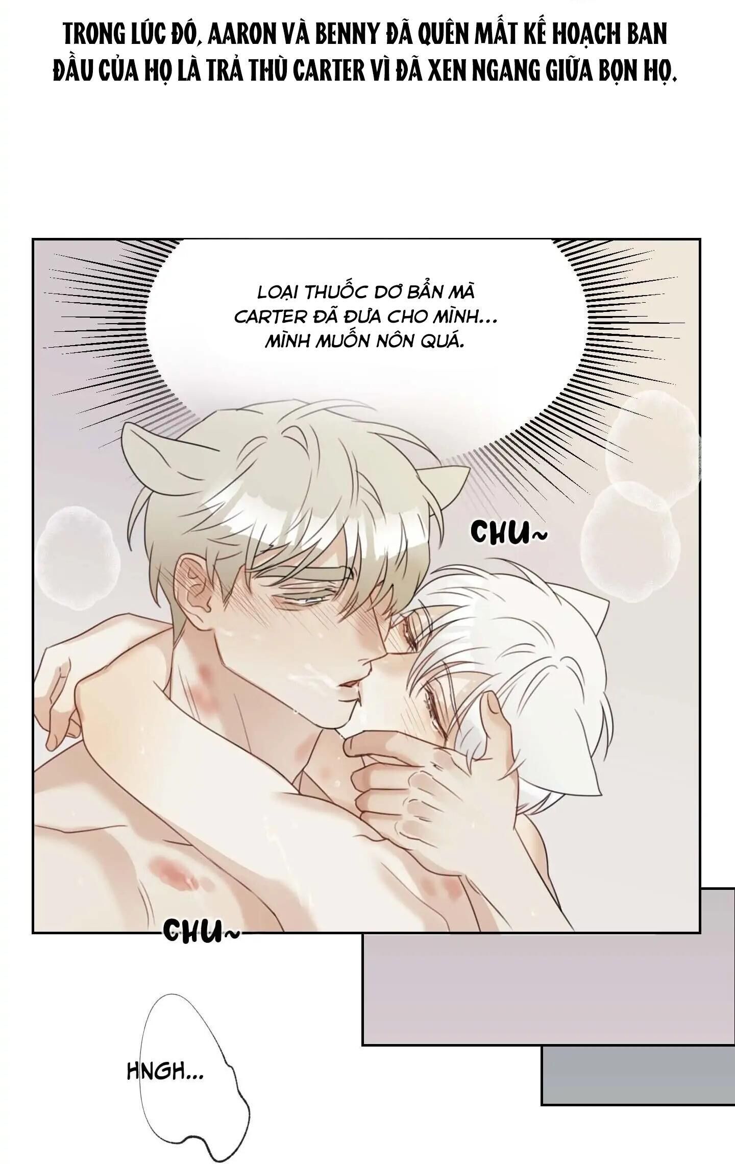 Tuyển Tập Manhwa 18+ Chapter 31 Sói và Mèo - Trang 2