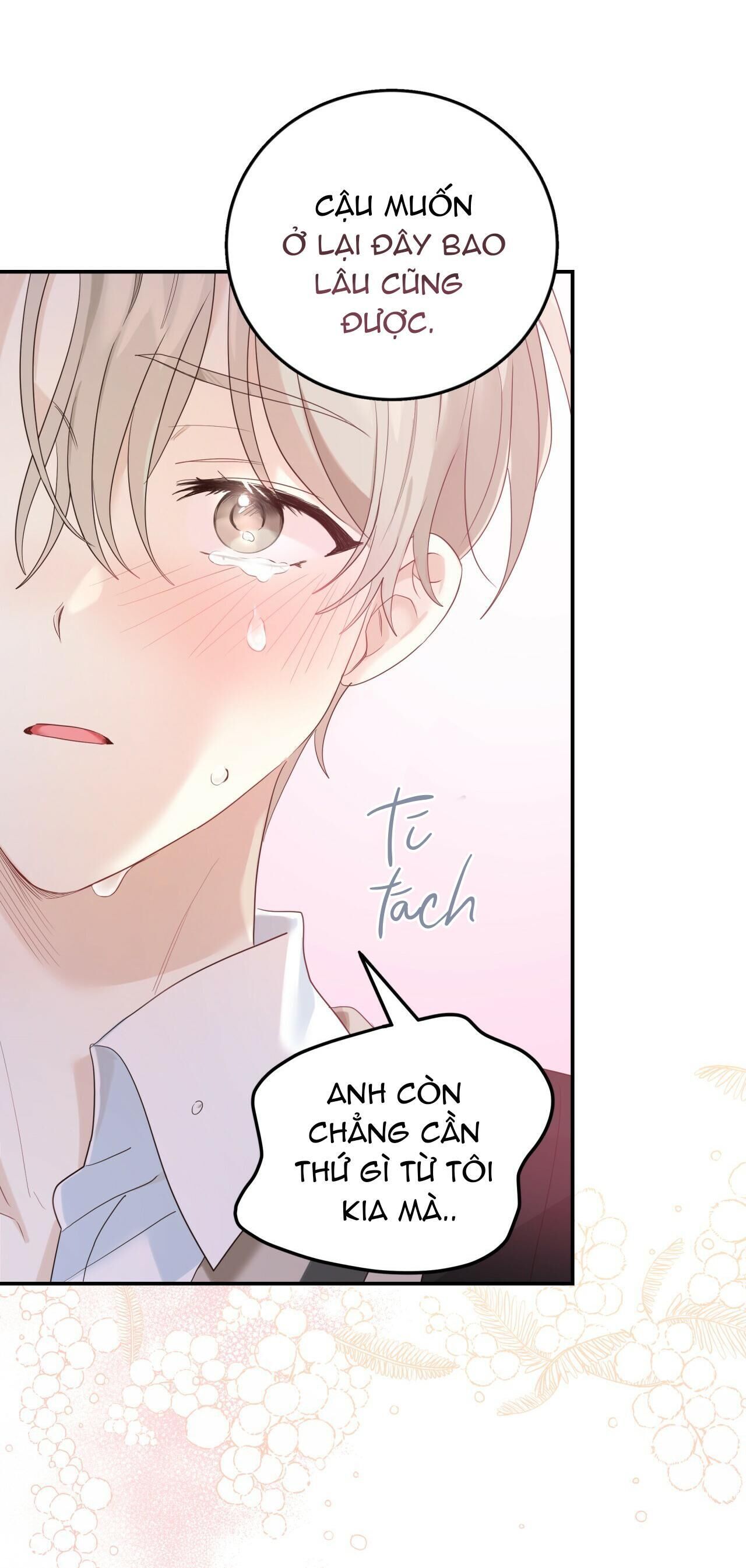 vị ngọt không đường (sweet not sugar) Chapter 7 - Trang 2