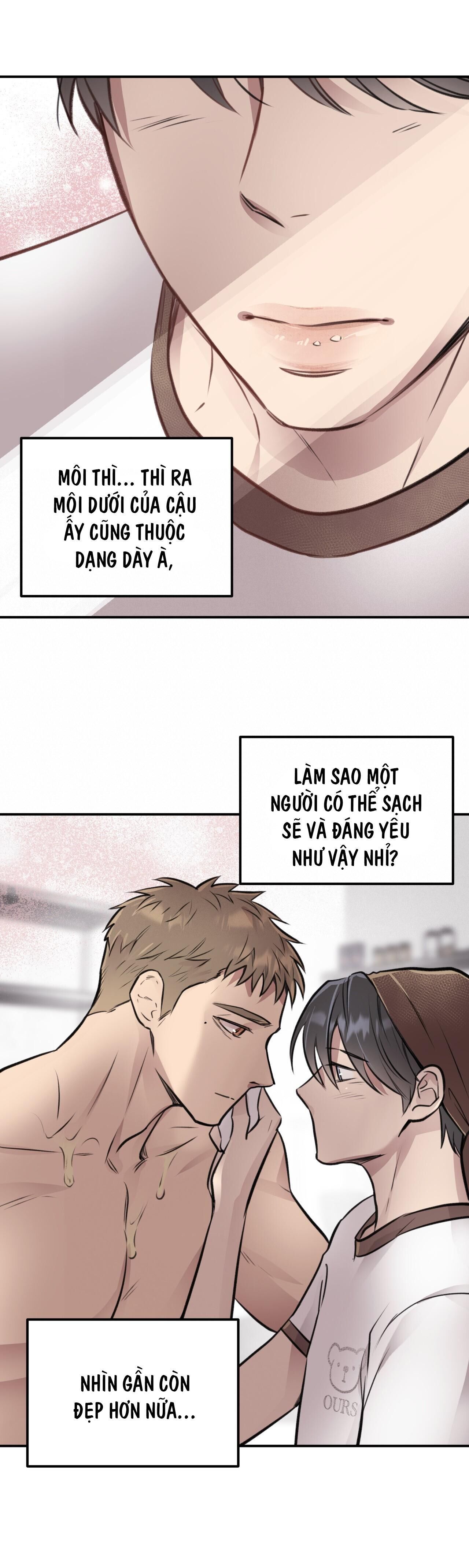 mật gấu Chapter 8 - Next Chương 9