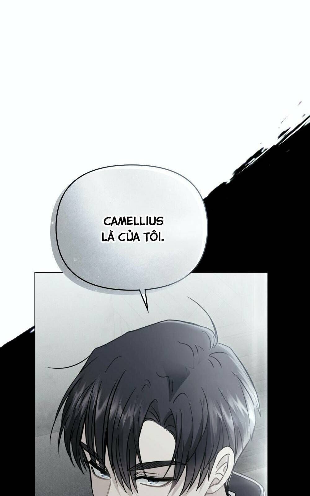 tìm lại camellia Chapter 49 - Next Chương 49