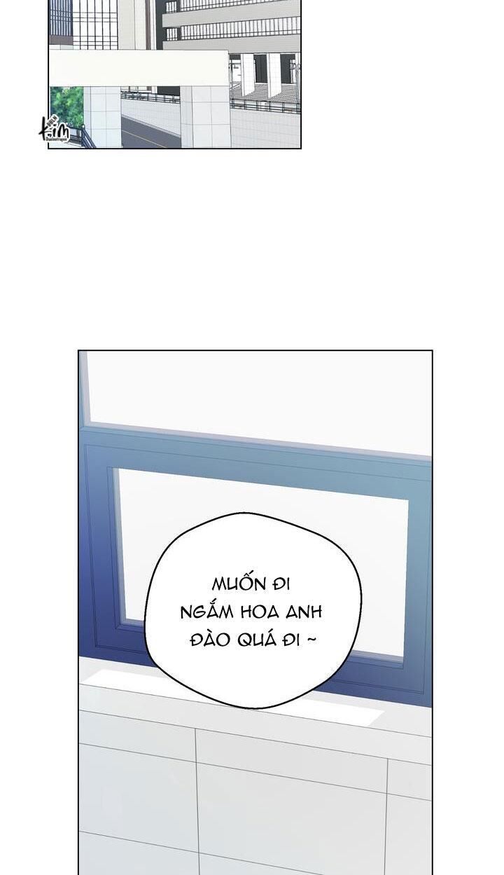 bánh quy tình yêu tan chảy Chapter 11 - Next Chapter 11