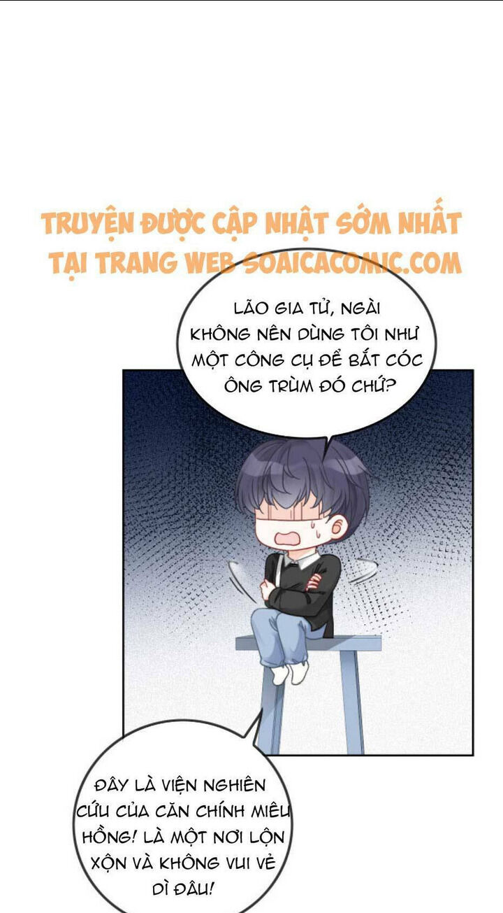 được các anh trai chiều chuộng tôi trở nên ngang tàng chương 47 - Next chapter 48