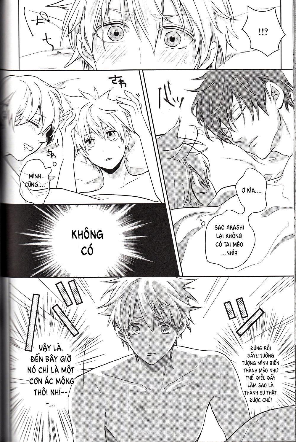 Doujinshi Của Kuroko No Basket Ball Chapter 6 - Next 