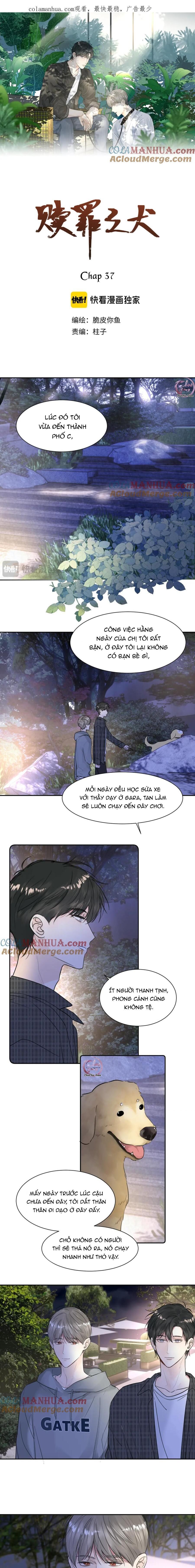 chó chuộc tội Chapter 37 - Trang 2