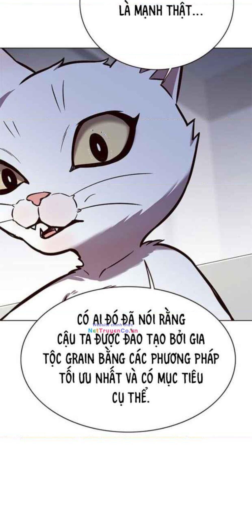 hoá thân thành mèo chapter 154 - Trang 2