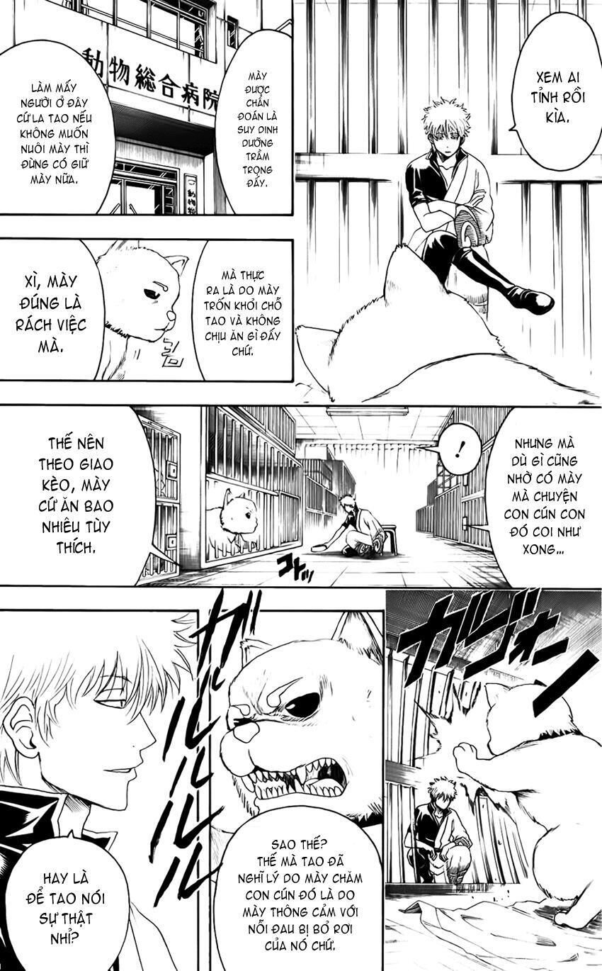 gintama chương 402 - Next chương 403