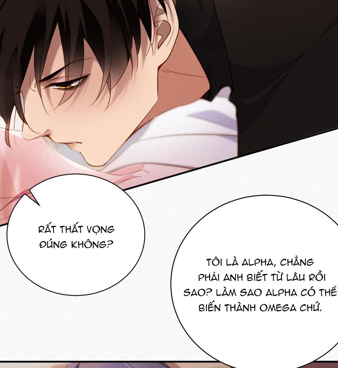 Chồng Cũ Muốn Tái Hôn Lần Nữa Chapter 1 - Next Chapter 2