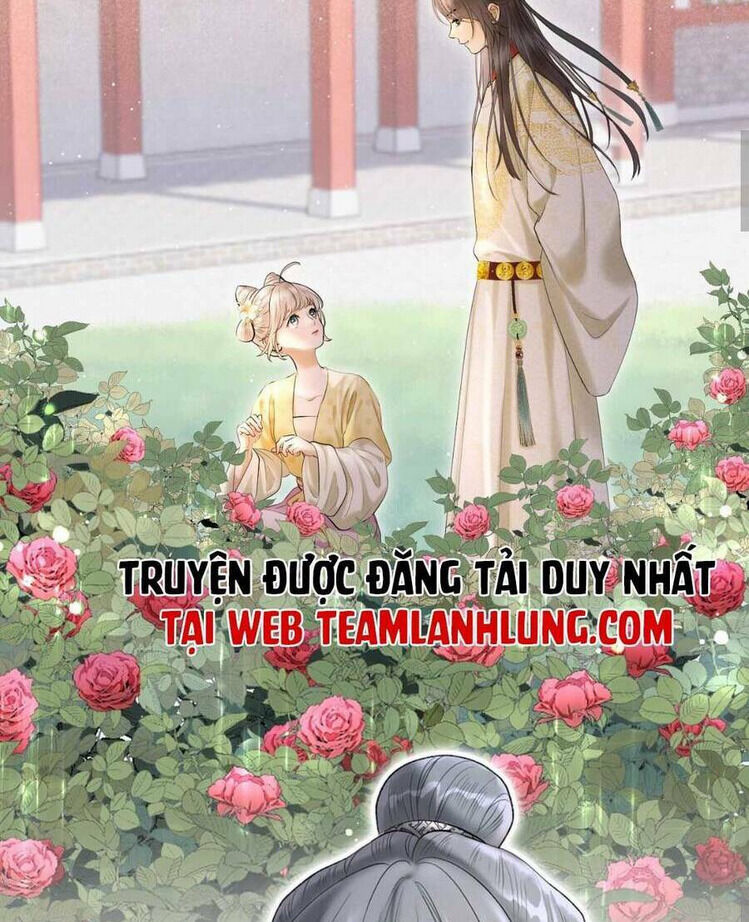 ta live stream trong lãnh cung chapter 5 - Next chapter 6