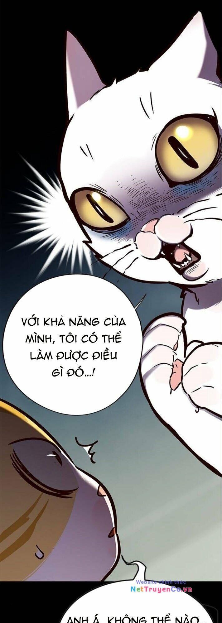 hoá thân thành mèo chapter 142 - Trang 2