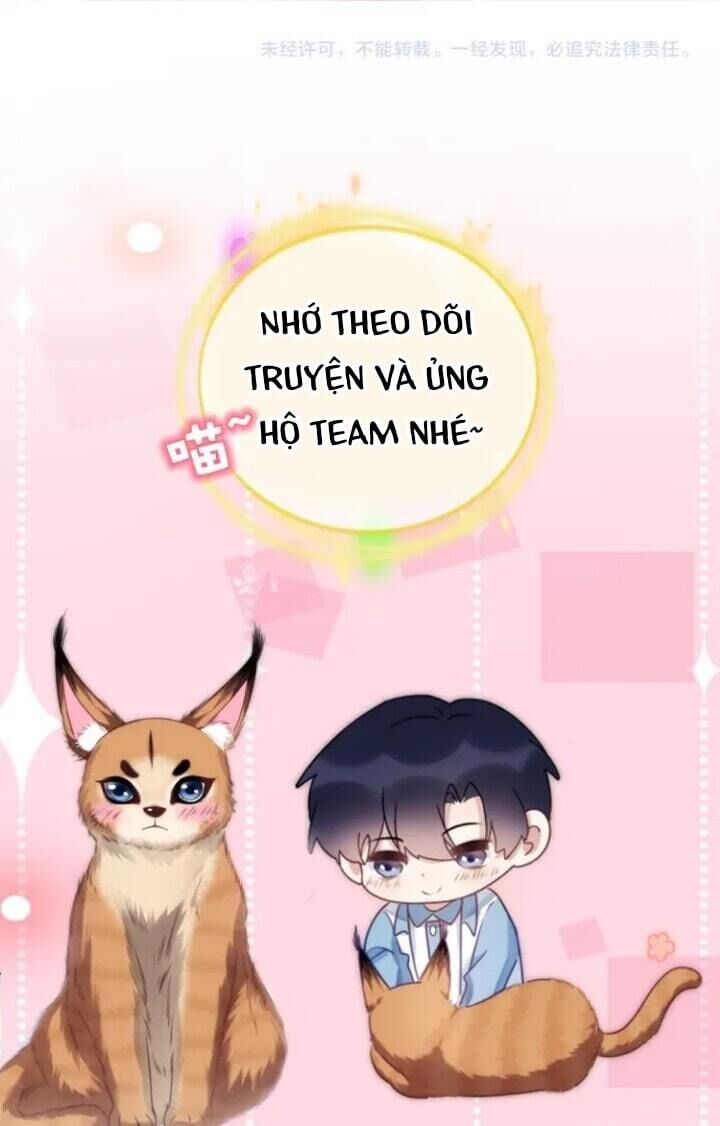 Tiểu Dã Miêu Của Học Bá Thật Trêu Người Chapter 2 - Next Chapter 3