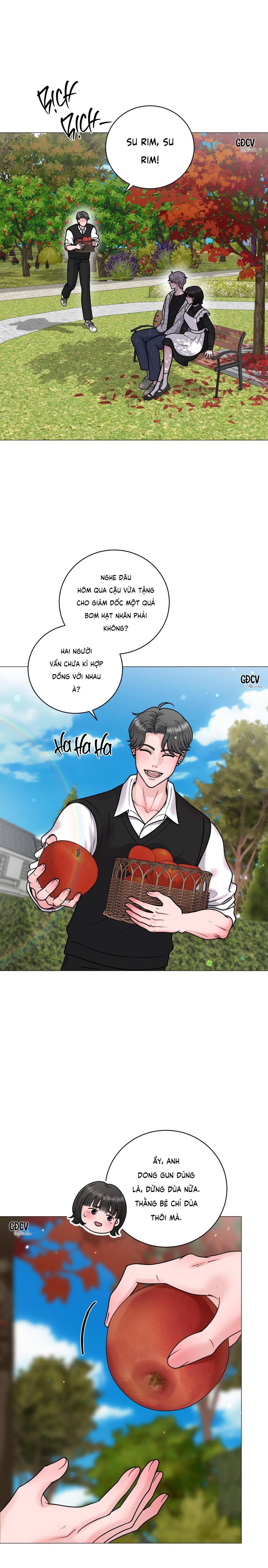 ảo ảnh Chapter 11 - Trang 1