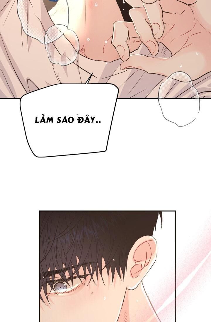 YÊU EM THÊM LẦN NỮA (LOVE ME AGAIN) Chapter 7 - Trang 2