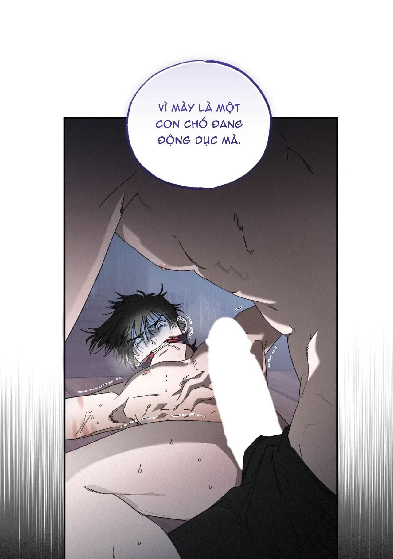 lời nói dối đẫm máu Chapter 36 - Next Chapter 37