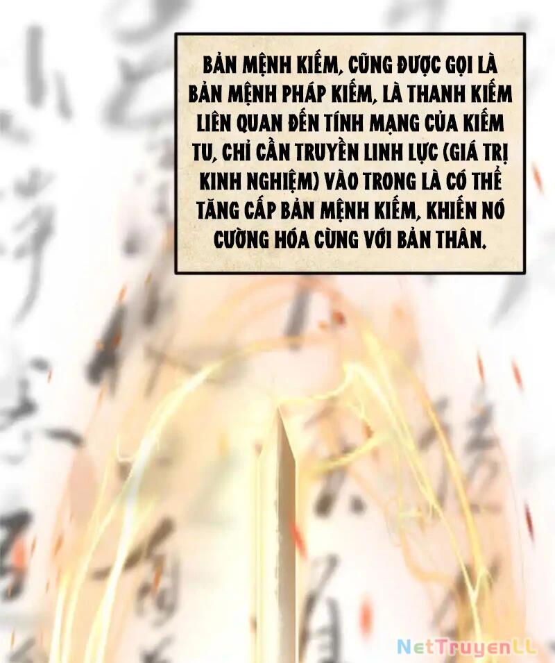 chưởng môn khiêm tốn chút Chương 392 - Next Chapter 392