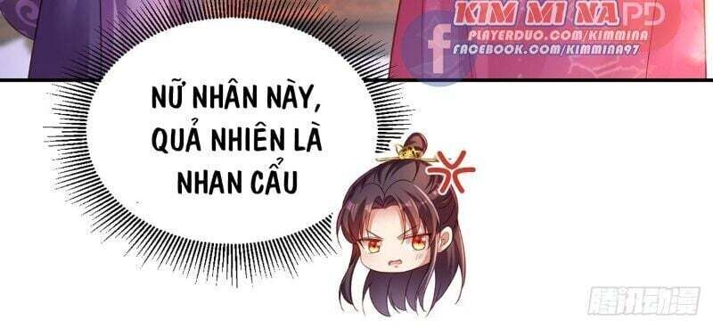 segawa-san muốn yêu đương nghiêm túc với tôi Chapter 23 - Trang 1