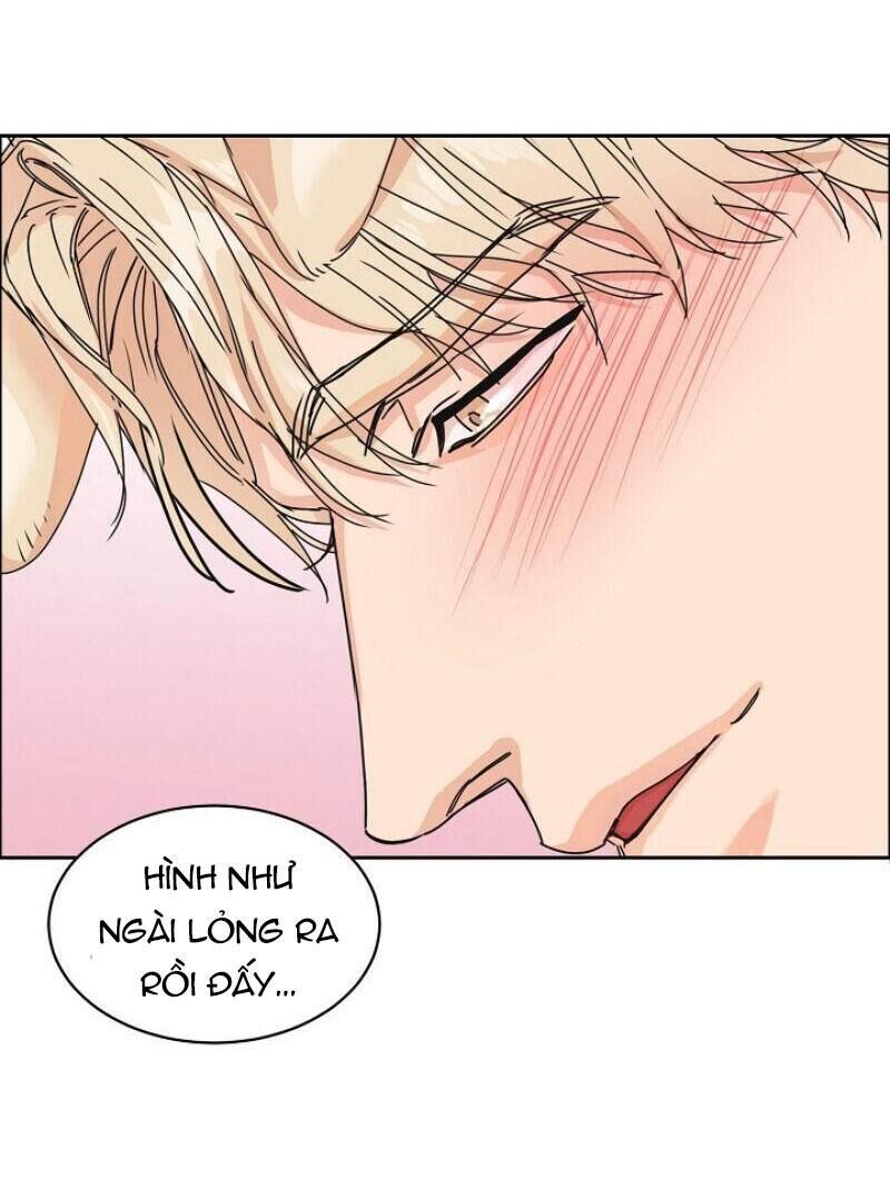 Tuyển Tập Manhwa 18+ Chapter 2 Hãy Nuôi Tôi - Next Chapter 3 Trái Cấm