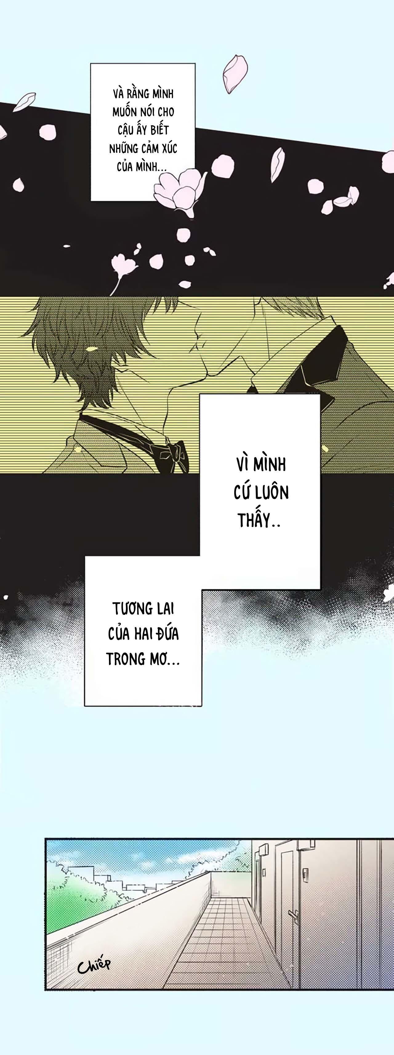 cây nhỏ và mùa xuân thân yêu Chapter 24 - Next Chapter 24