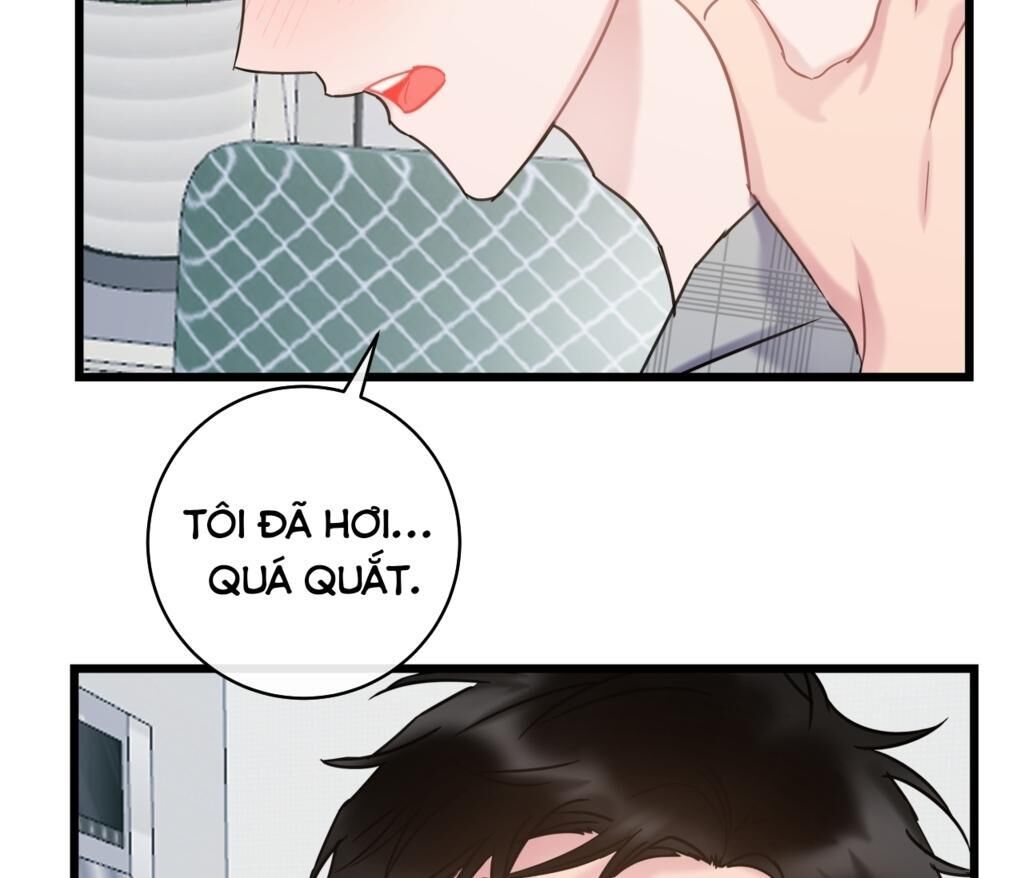 tình yêu bình dị nhất Chapter 13 - Trang 2