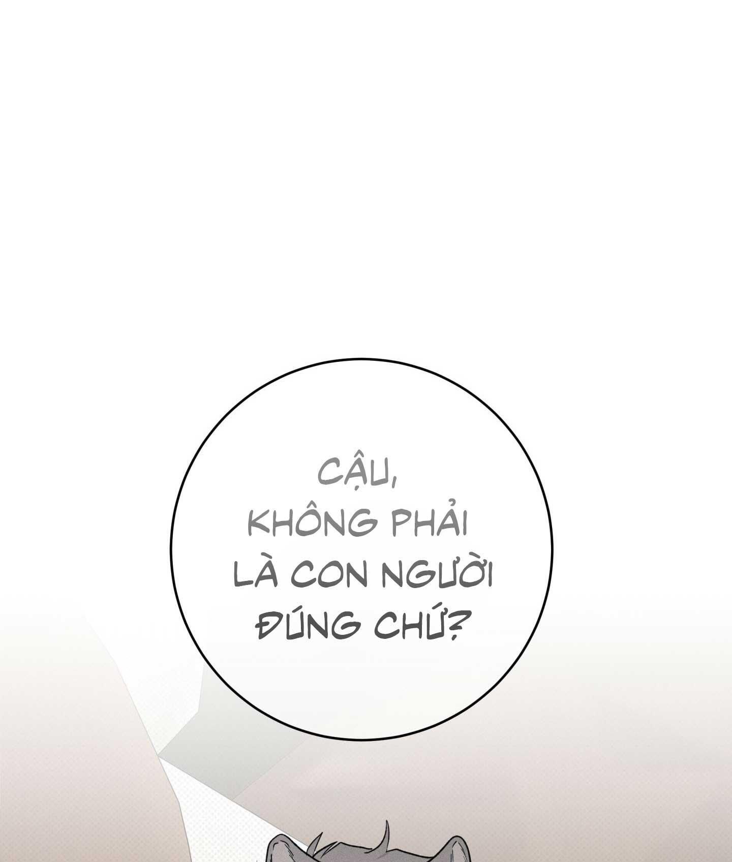 Nhật ký nuôi dưỡng sói hoang Chapter 2 - Next Chapter 2