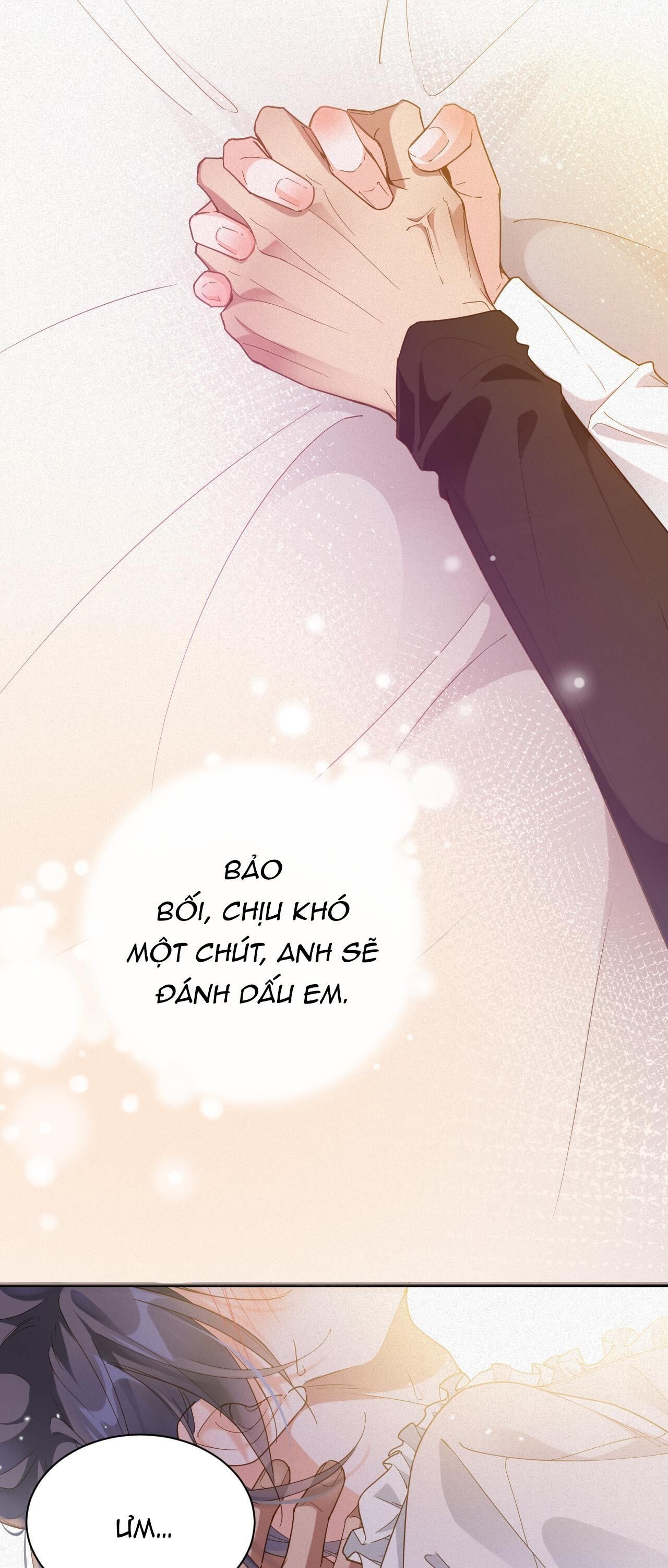 Chồng Cũ Muốn Tái Hôn Lần Nữa Chapter 36 - Next Chapter 37