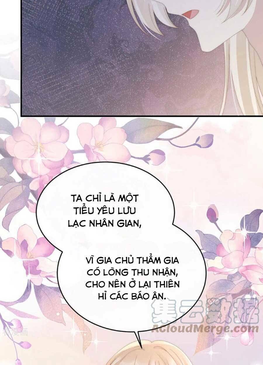 thê chủ, thỉnh hưởng dụng chapter 75 - Next Chapter 76