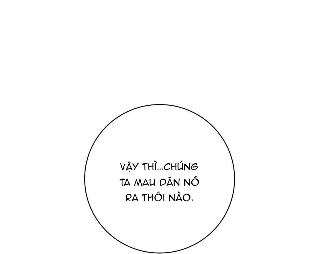 hạnh phúc trọn vẹn Chapter 21 - Next 22