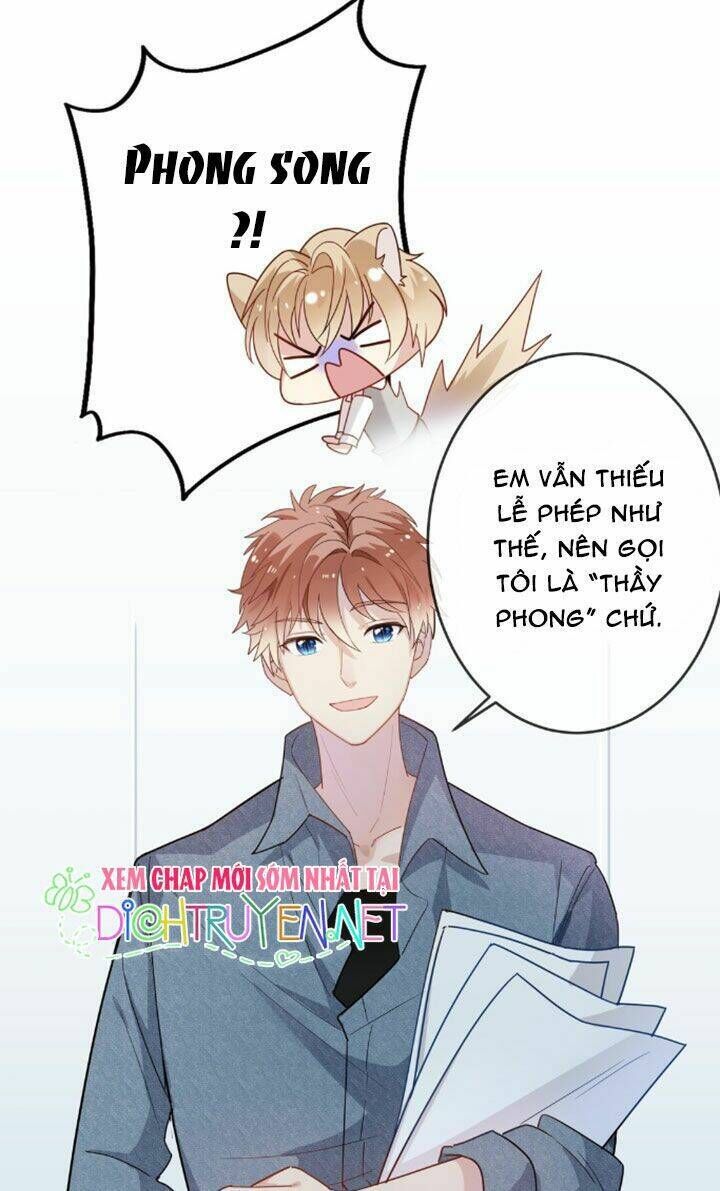 Em Là Bạc Hà Mèo Của Tôi Chapter 8 - Trang 2