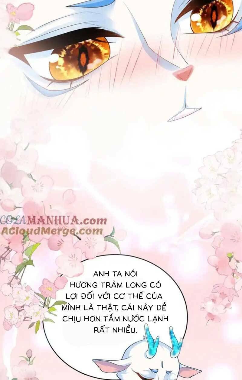 bé rồng đột kích! mami vừa cay vừa độc chapter 60 - Trang 1