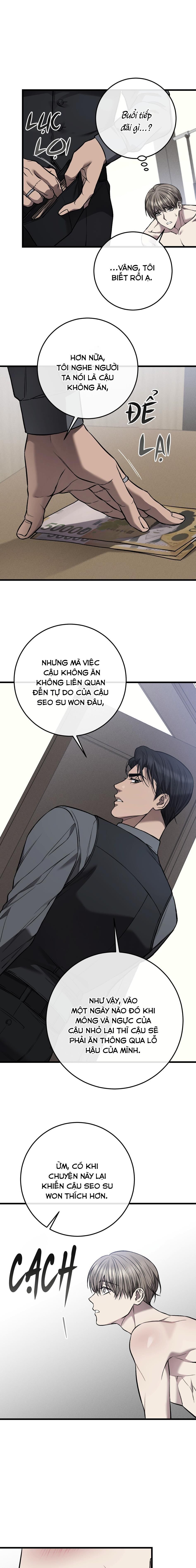 xx cặn bã Chapter 12 - Next Chương 13