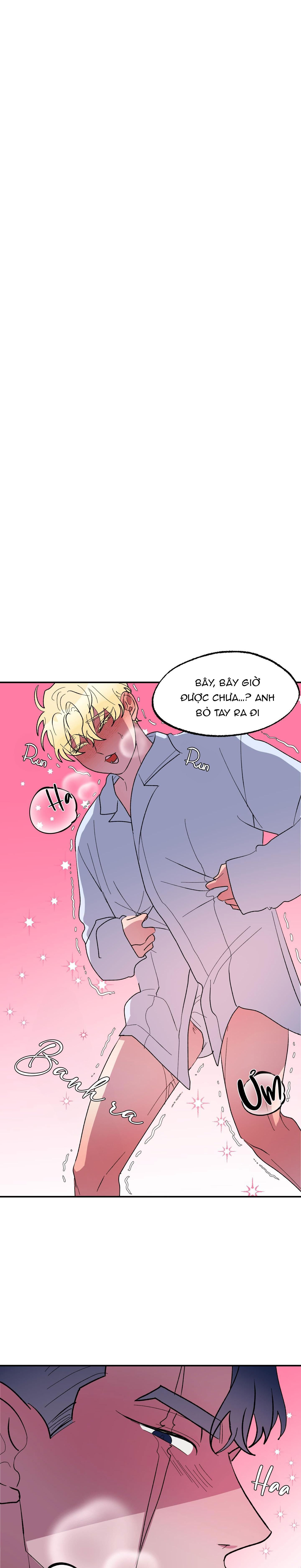 cá mập và cô dâu thỏ Chapter 22 - Trang 1