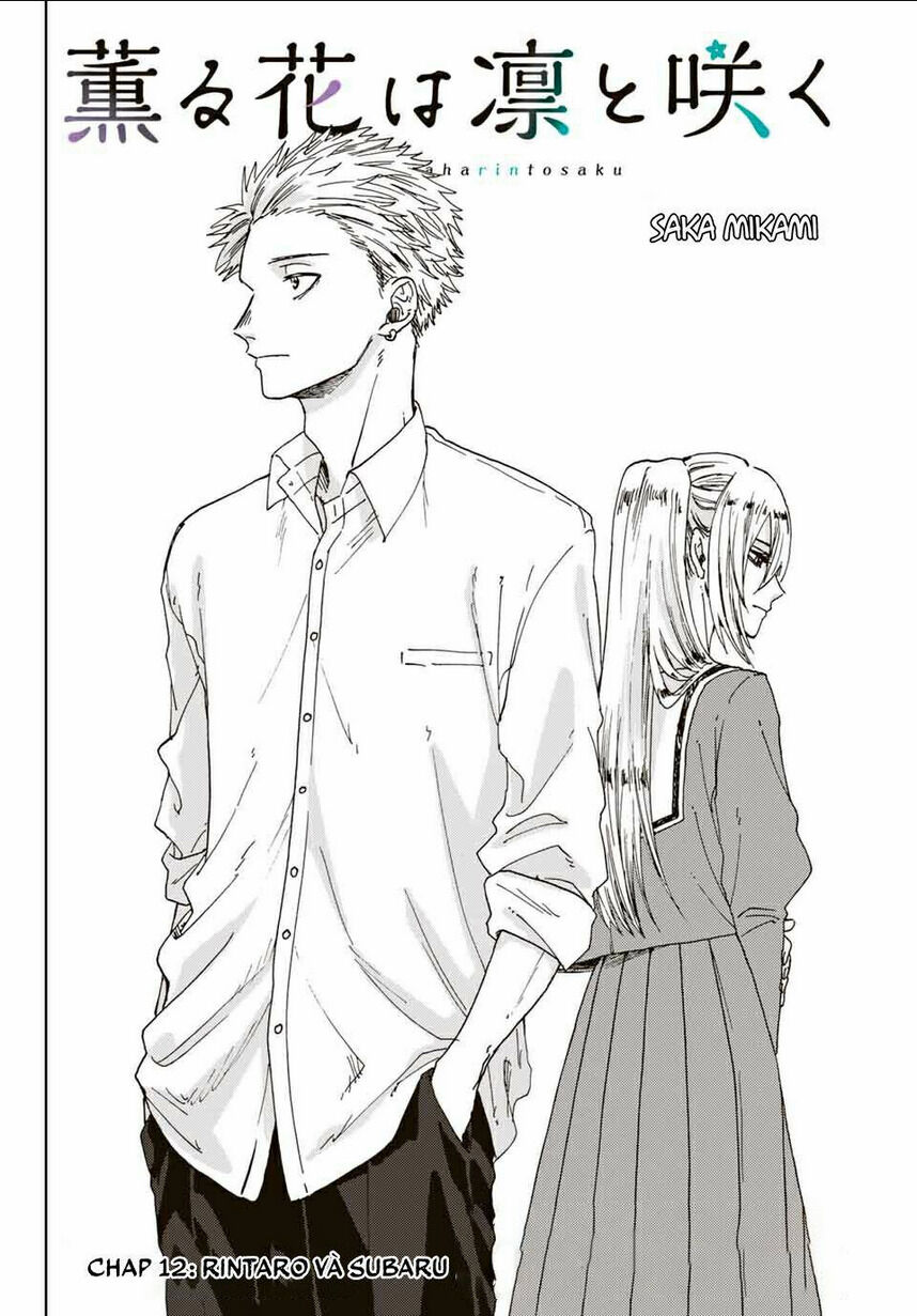 the fragrant flower blooms with dignity - kaoru hana wa rin to saku chapter 12: rintaro và subaru - Next chapter 12.5: sau cuộc gọi