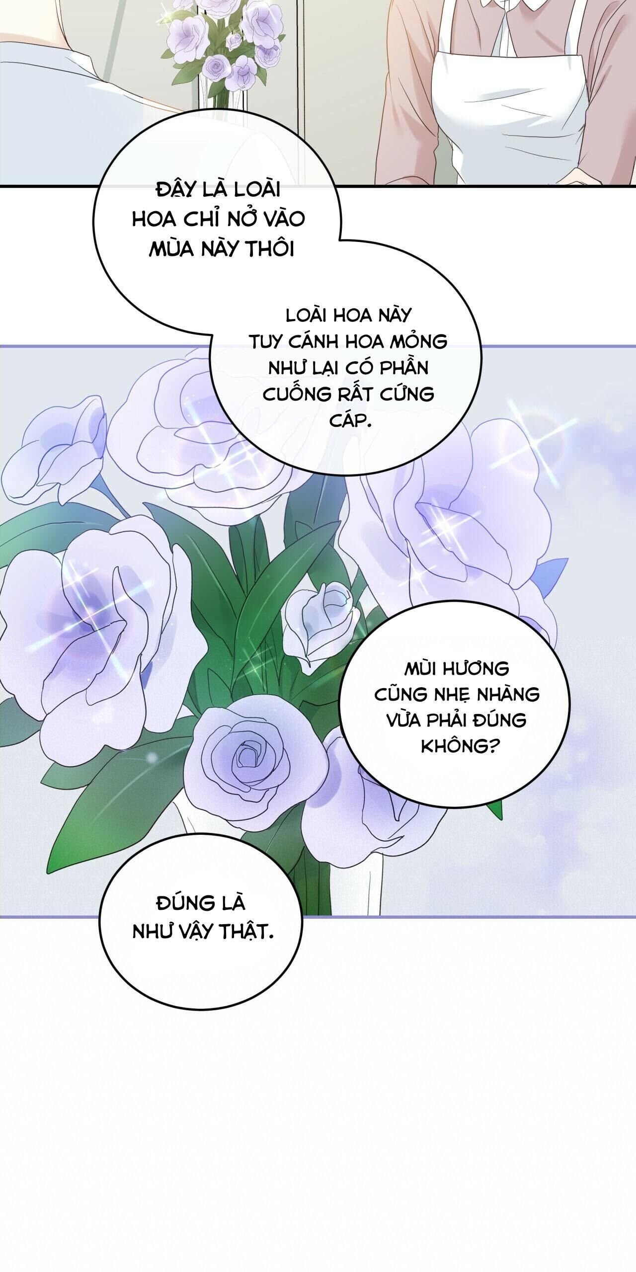 vị ngọt không đường (sweet not sugar) Chapter 5 - Next 6