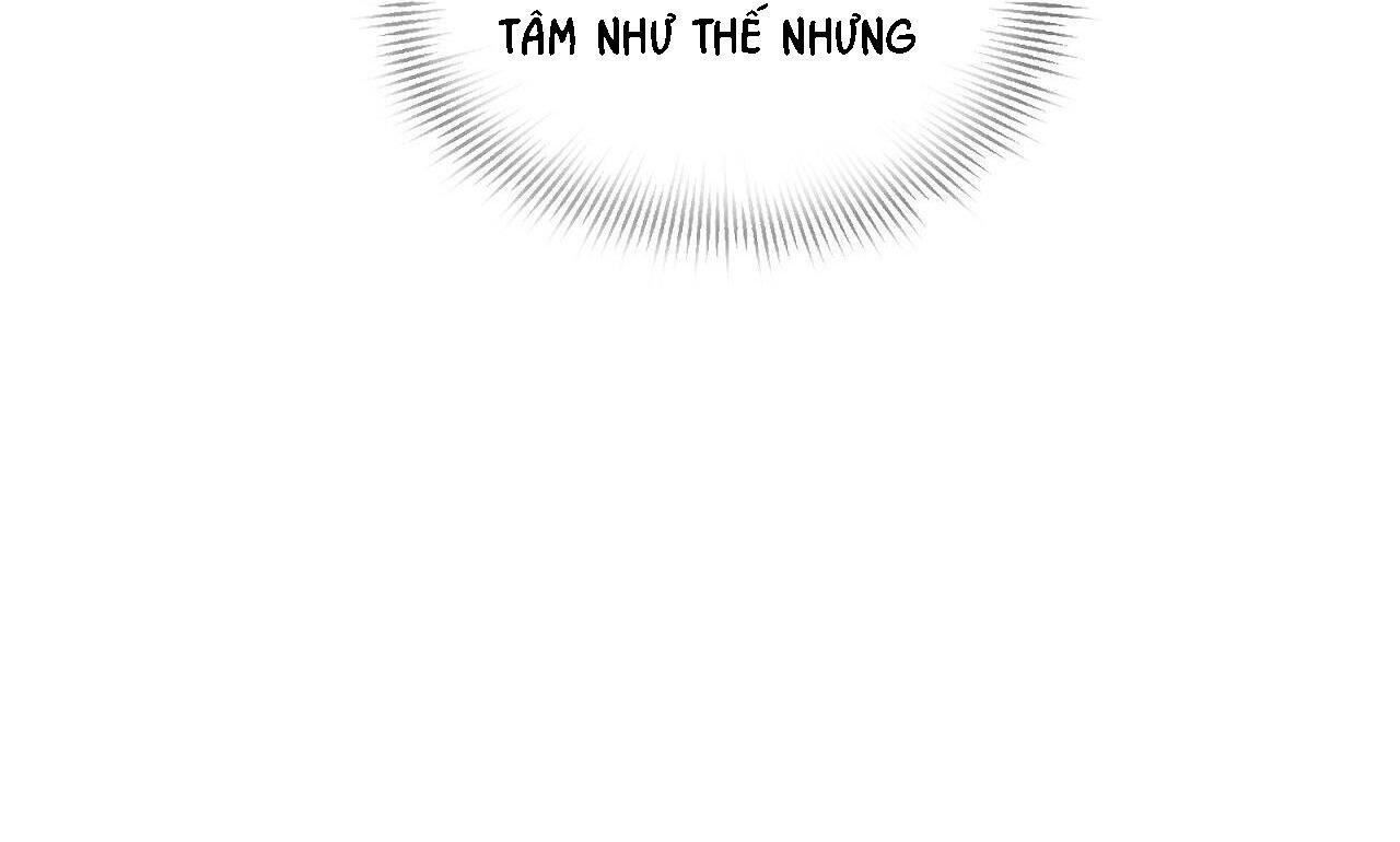 khi chim thước đến Chapter 17 - Trang 2