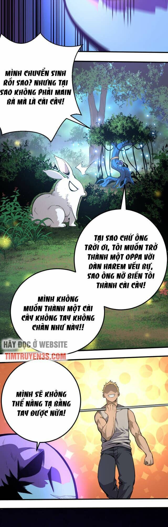 chuyển sinh thành liễu đột biến chapter 1 - Next chapter 2