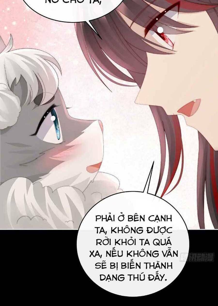 thê chủ, thỉnh hưởng dụng chapter 47 - Trang 2