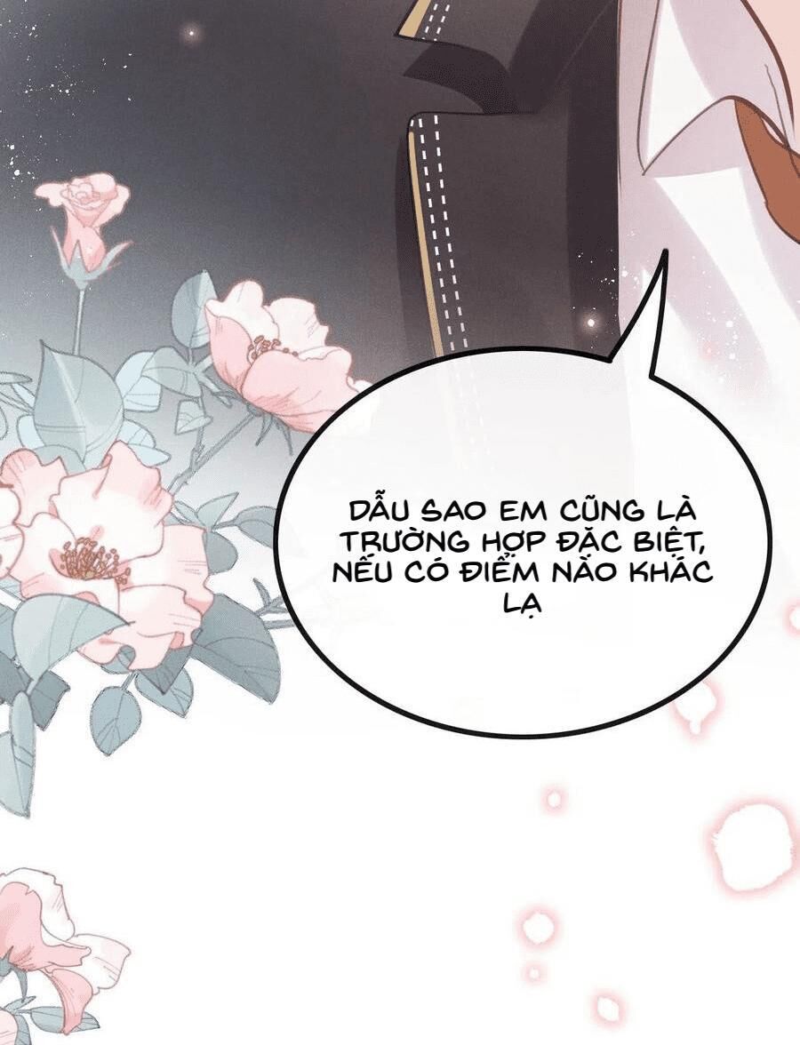 Lang Sói Thượng Khẩu Chapter 23 - Trang 2