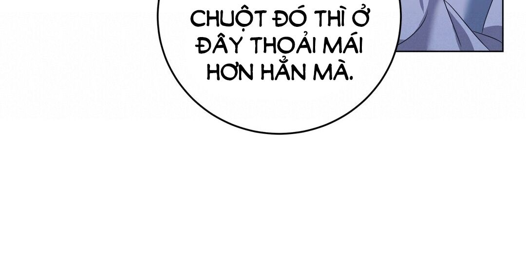 chiếm lại cô giáo Chapter 9.2 - Next chapter 10