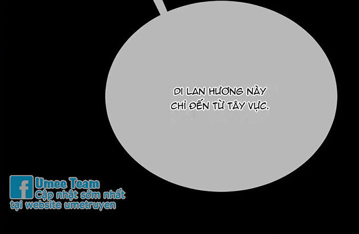 Á Nô 2: Thám Hoa Chapter 48 - Next Chapter 49