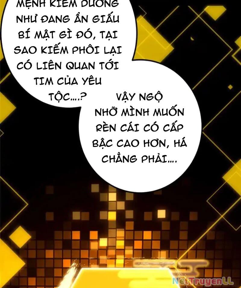 chưởng môn khiêm tốn chút Chương 392 - Next Chapter 392