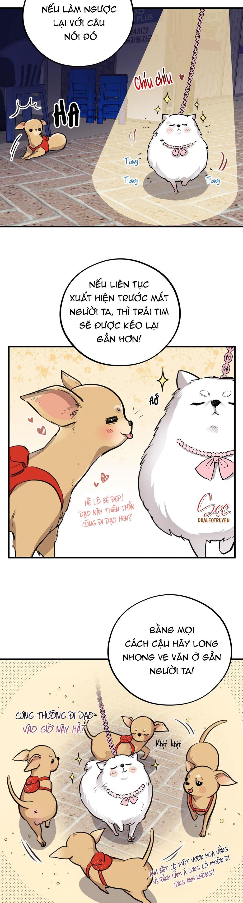 honey bear Chapter 4 - Trang 1