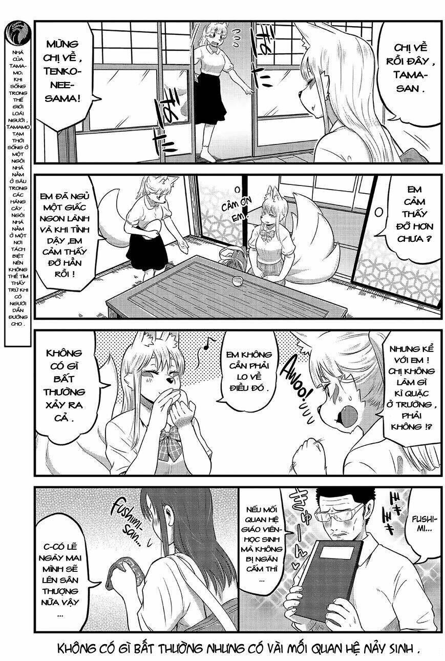 High school Inari Tamamo-chan ! Chapter 11 - Trang 2