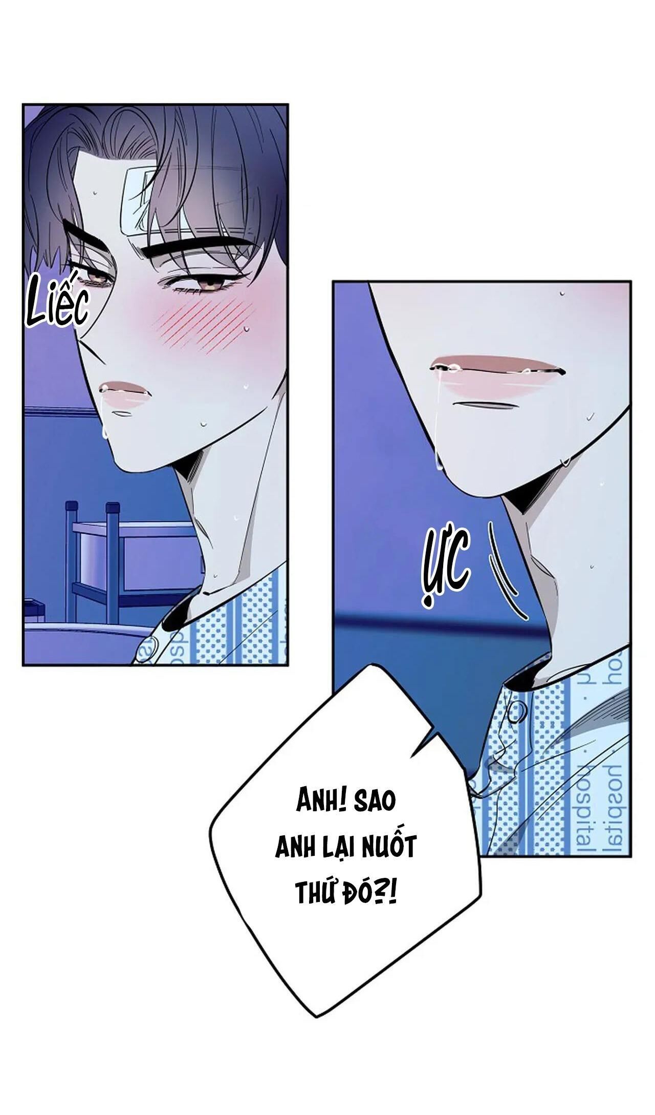 đêm dịu dàng Chapter 72 - Trang 2