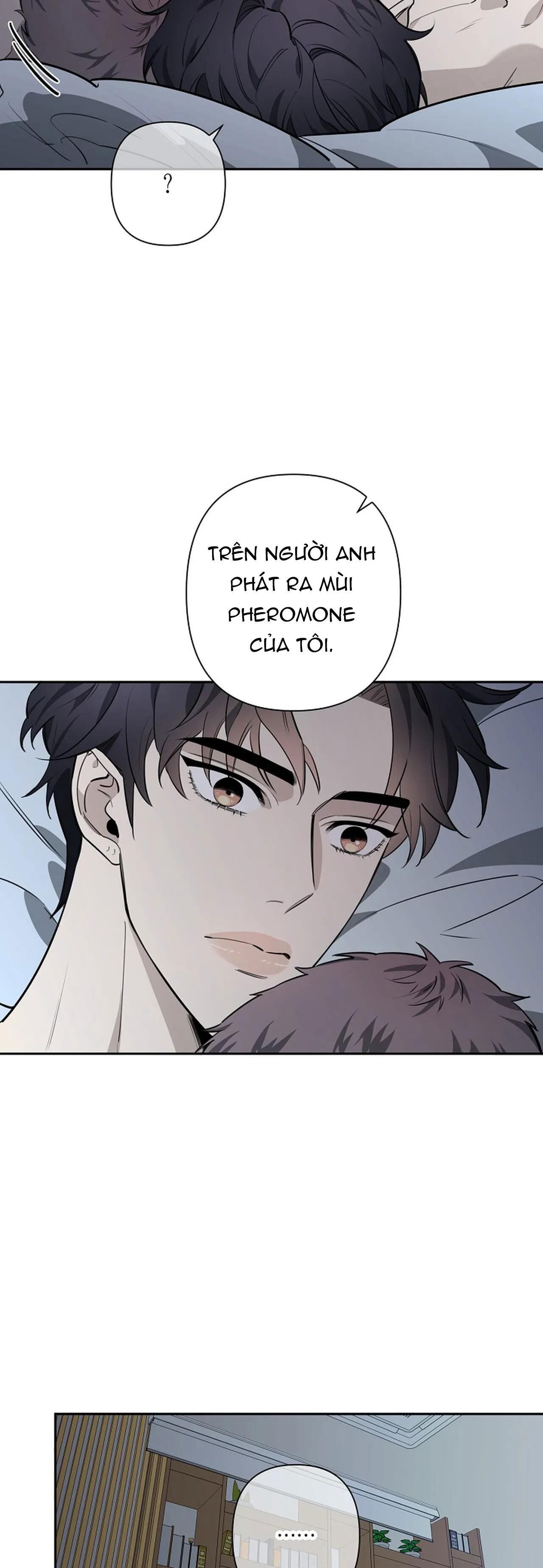 đêm dịu dàng Chapter 32 - Trang 1