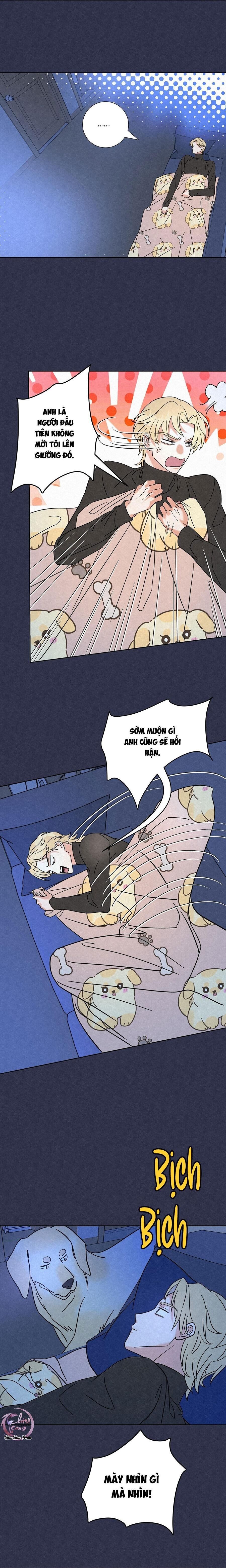 anh trai rẻ tiền của tôi Chapter 5 - Trang 1