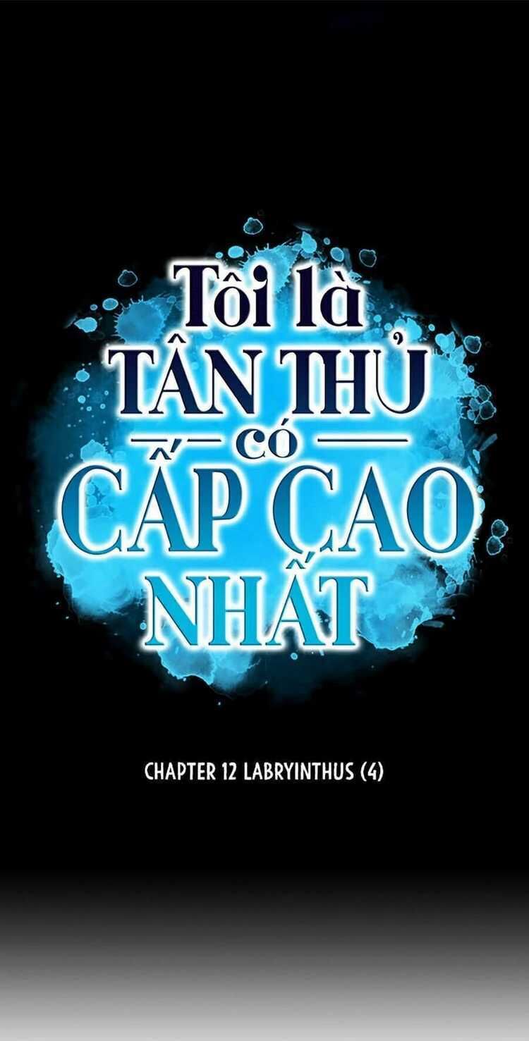 người chơi mới cấp tối đa Chapter 12 - Trang 2