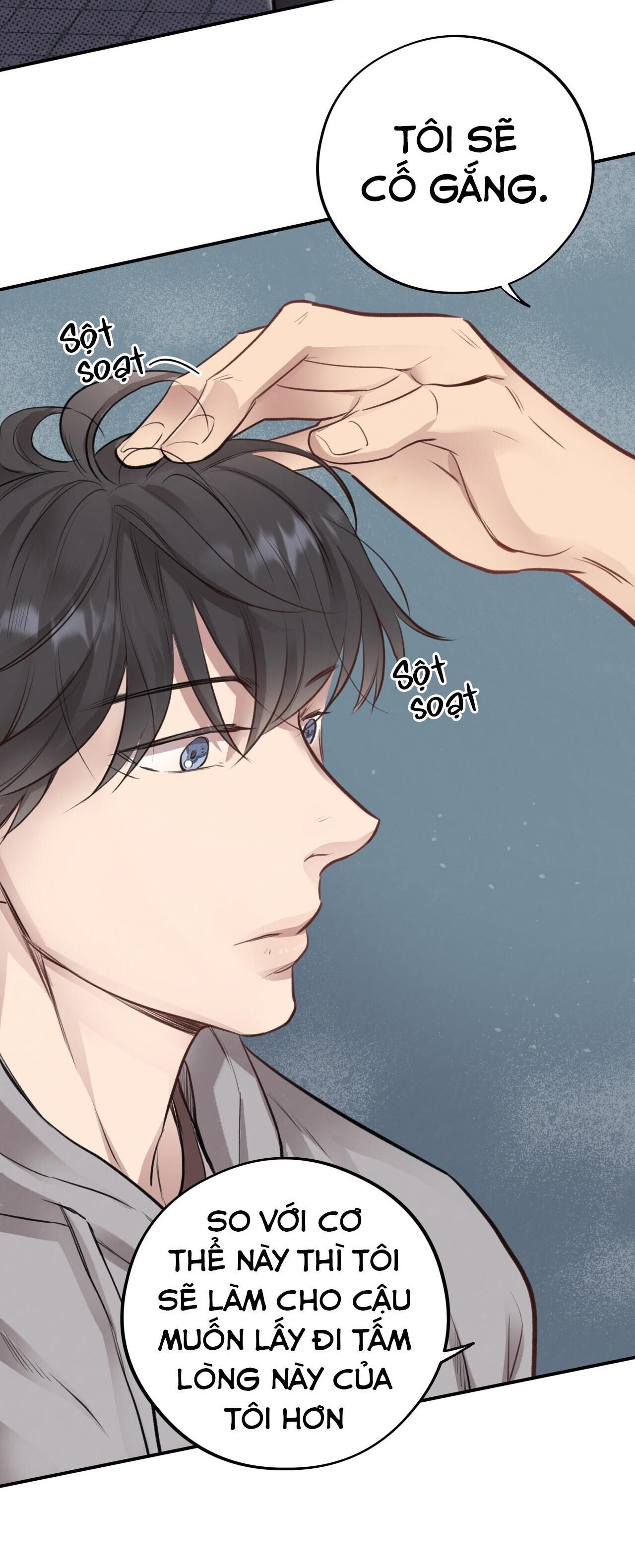 mật gấu Chapter 10 - Next Chương 11